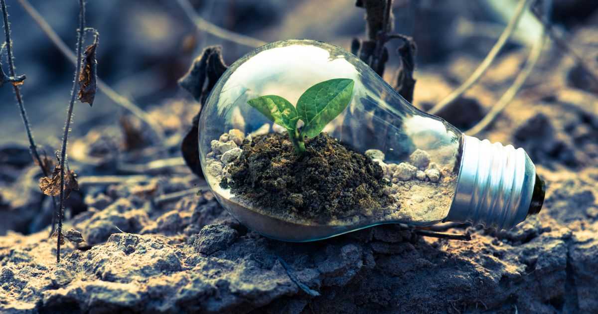 What Is ESG, Really?